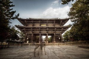 Ghosts of deer in Nara