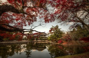 Temple Tōdai-ji Nara