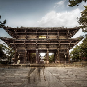 Ghosts of deer in Nara