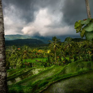 Bali Island of the Gods