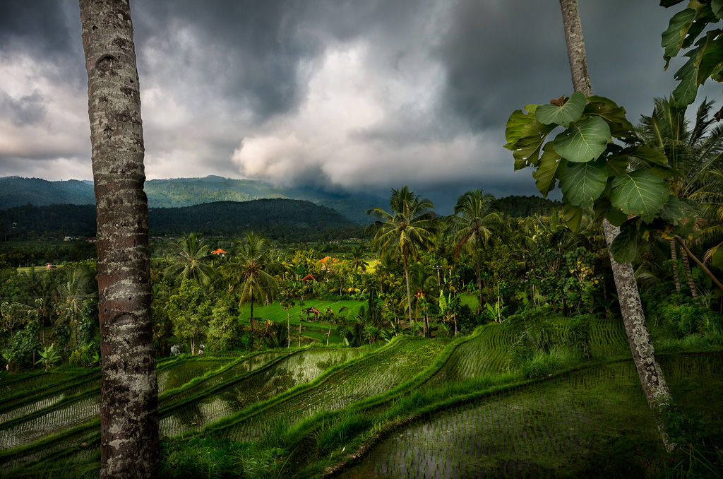 Bali Island of the Gods
