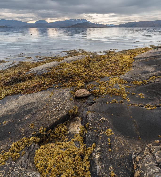 Hamnøy, Sunrise, André Alessio, Graphylight, Photographe Montpellier