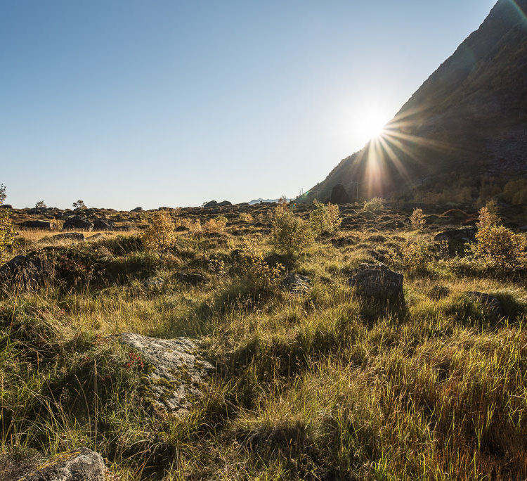 Hamnøy, Sunrise, André Alessio, Graphylight, Photographe Montpellier